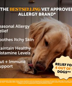 10 in 1 Multivitamin + Allergy Support Soft Chew Supplement Virtual Bundle - Skin & Seasonal Pollen Allergies - Itch Relief for Dogs - Joint, Digestive, Heart, Skin, Coat &...