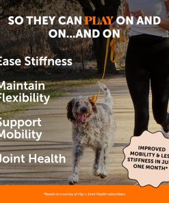 10 in 1 Multivitamin + Hip & Joint Health Soft Chew Supplement Virtual Bundle - Dog Vitamins - Glucosamine Chondroitin, Omegas, Turmeric and MSM for Overall Dog Health, Joint...