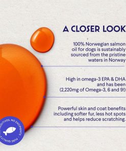 100% Norwegian Salmon Oil Plus Mushroom Complex Powder - for Dog’s Skin, Coat & Immune Health – Salmon Oil 8 Ounces – Mushroom Complex 90 Scoops
