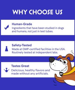 100% Norwegian Salmon Oil Plus Mushroom Complex Powder - for Dog’s Skin, Coat & Immune Health – Salmon Oil 8 Ounces – Mushroom Complex 90 Scoops