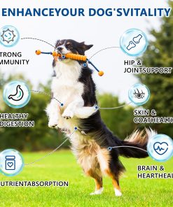 40-in-1 Dog Vitamins Chewable Multivitamin for Dogs Supplements with Glucosamine MSM - Turkey Tail Mushroom, Digestive Enzymes Gut Probiotics, Hip & Joint, Skin & Coat Immune...