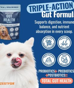 Azestfor Veggie Flavored Homemade Dog Food Vitamins Pre-Mix Powder (16oz) & Gut Health Supplement (60g) Bundle – 3 in 1 Probiotic, Prebiotic & Postbiotic Blend – for Raw, Barf &...