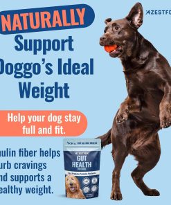 Azestfor Veggie Flavored Homemade Dog Food Vitamins Pre-Mix Powder (16oz) & Gut Health Supplement (60g) Bundle – 3 in 1 Probiotic, Prebiotic & Postbiotic Blend – for Raw, Barf &...