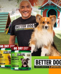 Better Dog Supplements Skin & Seasonal Wellness Bundle by Cesar Millan – Dog Skin & Coat Support + Seasonal Support Formula – Natural Herbal Powder for Dogs, 4oz Each