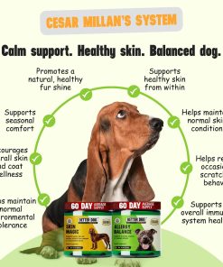 Better Dog Supplements Skin & Seasonal Wellness Bundle by Cesar Millan – Dog Skin & Coat Support + Seasonal Support Formula – Natural Herbal Powder for Dogs, 4oz Each