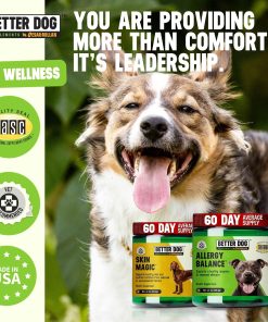 Better Dog Supplements Skin & Seasonal Wellness Bundle by Cesar Millan – Dog Skin & Coat Support + Seasonal Support Formula – Natural Herbal Powder for Dogs, 4oz Each