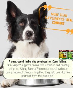 Better Dog Supplements Skin & Seasonal Wellness Bundle by Cesar Millan – Dog Skin & Coat Support + Seasonal Support Formula – Natural Herbal Powder for Dogs, 4oz Each