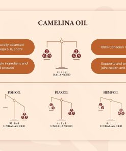 Camelina Oil 500 ml Bottle | Omega 3 Oil Supplement for Equine, Canine and Feline Joint, Coat and Skin Health