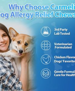 Carmelie Dog Allergy Chews + Carmelie 24 in 1 Dog Multivitamin Chewable - 400 Treats - Seasonal Allergy Relief + Dog Vitamins for Hip & Joint, Skin & Coat, Immune Health...