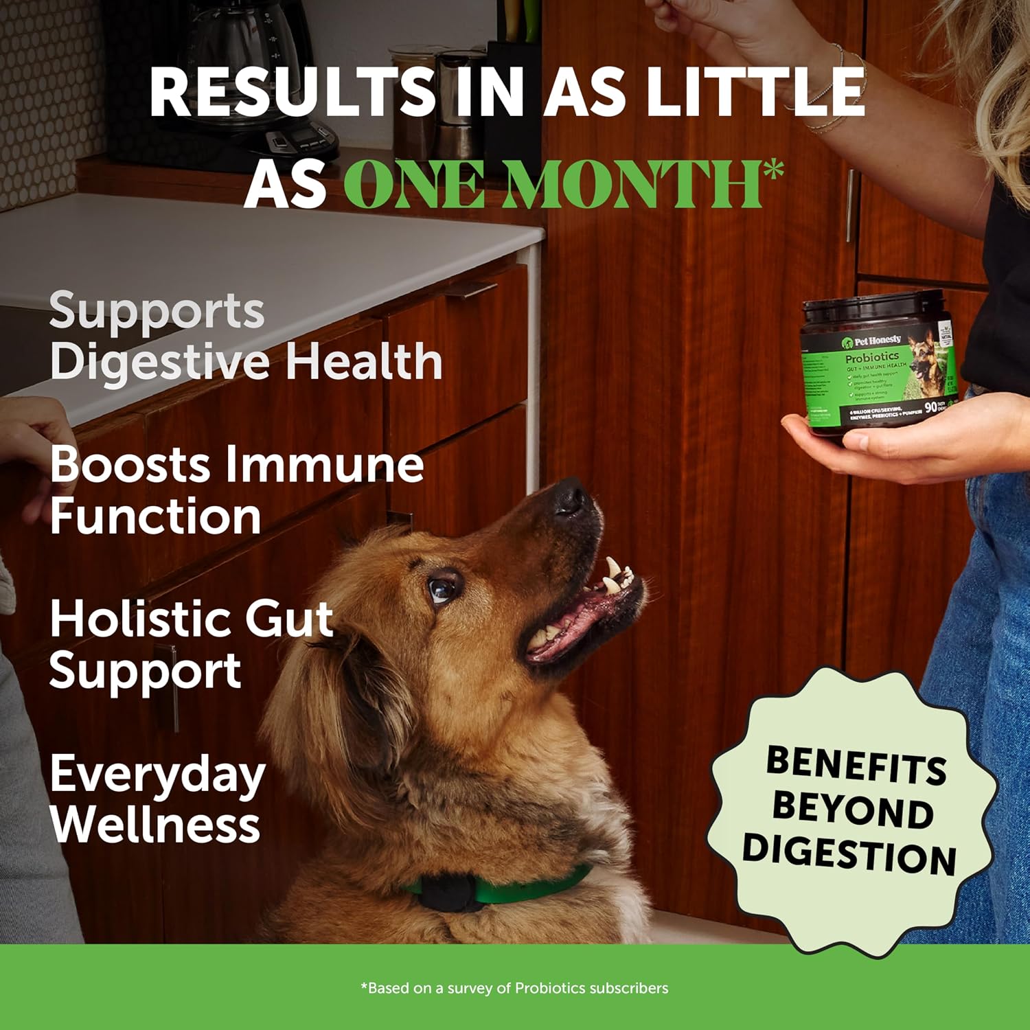 Digestive Probiotics for Dogs + 10 in 1 Multivitamin Soft Chew Supplement Virtual Bundle - Dog Vitamins - Probiotics, Pumpkin, Digestive Enzyme for Dogs, Dog Vitamins for... 12 Digestive Probiotics for Dogs + 10 in 1 Multivitamin Soft Chew Supplement Virtual Bundle - Dog Vitamins - Probiotics, Pumpkin, Digestive Enzyme for Dogs, Dog Vitamins for...