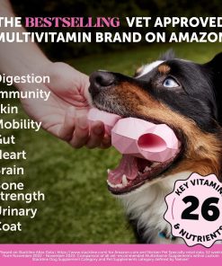Digestive Probiotics for Dogs + 10 in 1 Multivitamin Soft Chew Supplement Virtual Bundle - Dog Vitamins - Probiotics, Pumpkin, Digestive Enzyme for Dogs, Dog Vitamins for... 21 Digestive Probiotics for Dogs + 10 in 1 Multivitamin Soft Chew Supplement Virtual Bundle - Dog Vitamins - Probiotics, Pumpkin, Digestive Enzyme for Dogs, Dog Vitamins for...