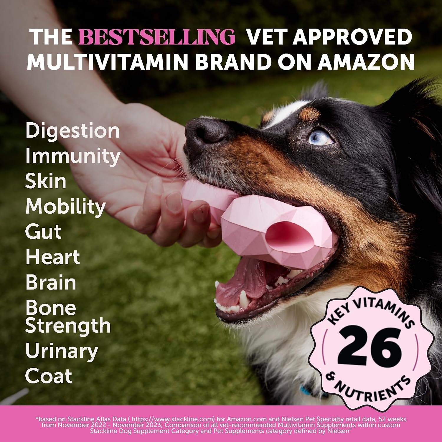 Digestive Probiotics for Dogs + 10 in 1 Multivitamin Soft Chew Supplement Virtual Bundle - Dog Vitamins - Probiotics, Pumpkin, Digestive Enzyme for Dogs, Dog Vitamins for... 13 Digestive Probiotics for Dogs + 10 in 1 Multivitamin Soft Chew Supplement Virtual Bundle - Dog Vitamins - Probiotics, Pumpkin, Digestive Enzyme for Dogs, Dog Vitamins for...