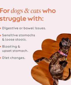 Diggin’ Your Dog, Firm Up Original Pumpkin Super Dog & Cat Supplement, 1 Ounce