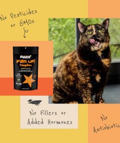 Diggin’ Your Dog, Firm Up Original Pumpkin Super Dog & Cat Supplement, 1 Ounce