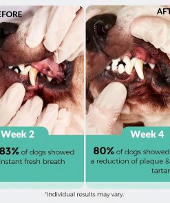 Dog Multivitamin Powder & Dog Dental Powder, Chicken Flavor