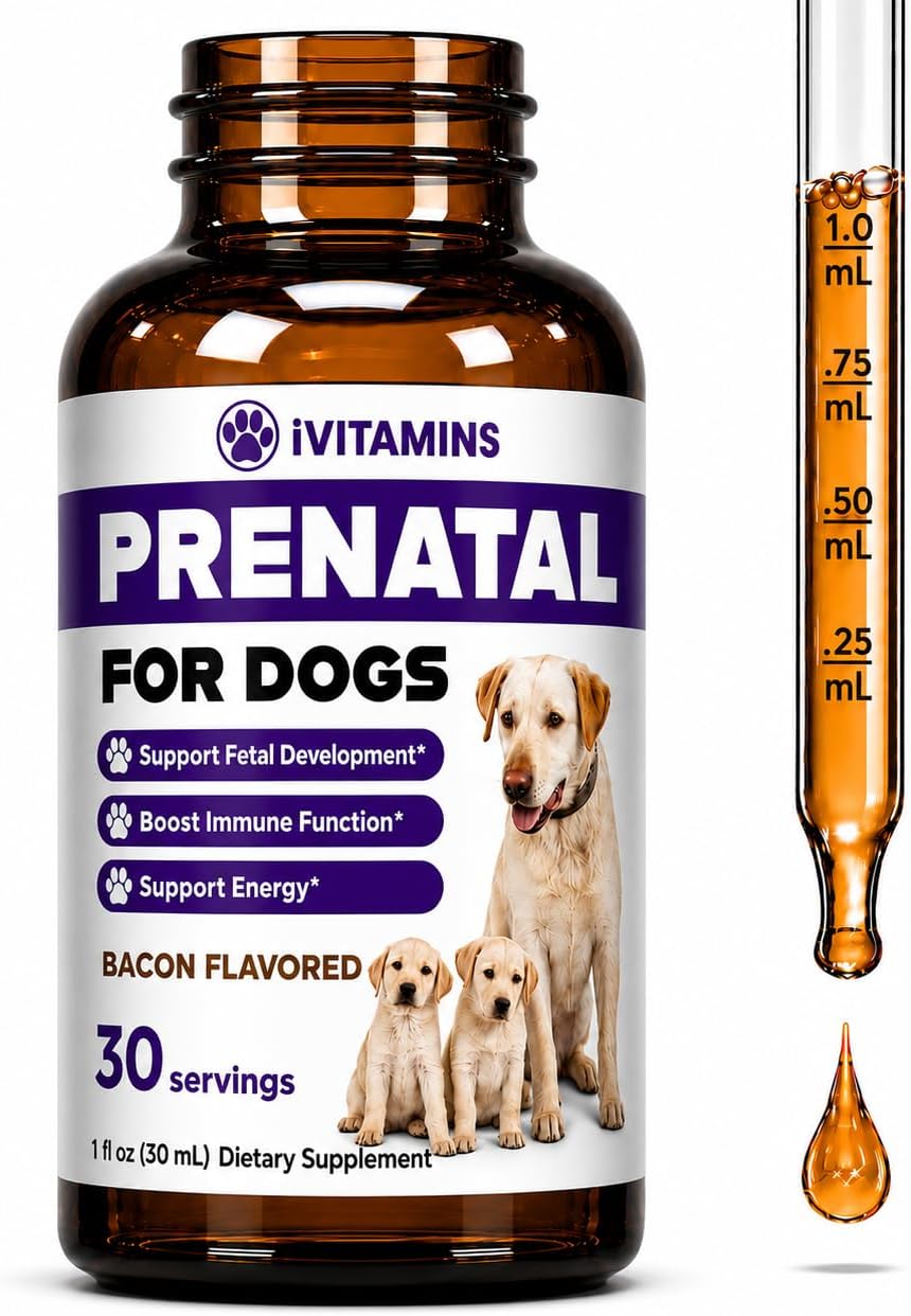 Dog Prenatal Vitamins - Prenatal Vitamins for Dogs - Includes Vitamin B Complex & Vitamin C - Dog Essentials - Whelping Supplies - 1 fl oz - Bacon Flavor 11 Dog Prenatal Vitamins - Prenatal Vitamins for Dogs - Includes Vitamin B Complex & Vitamin C - Dog Essentials - Whelping Supplies - 1 fl oz - Bacon Flavor