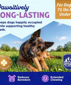 Himalayan Dog Chew, Function+ Skin & Coat, Hard Chew for Large & XL Dogs 22 Himalayan Dog Chew, Function+ Skin & Coat, Hard Chew for Large & XL Dogs