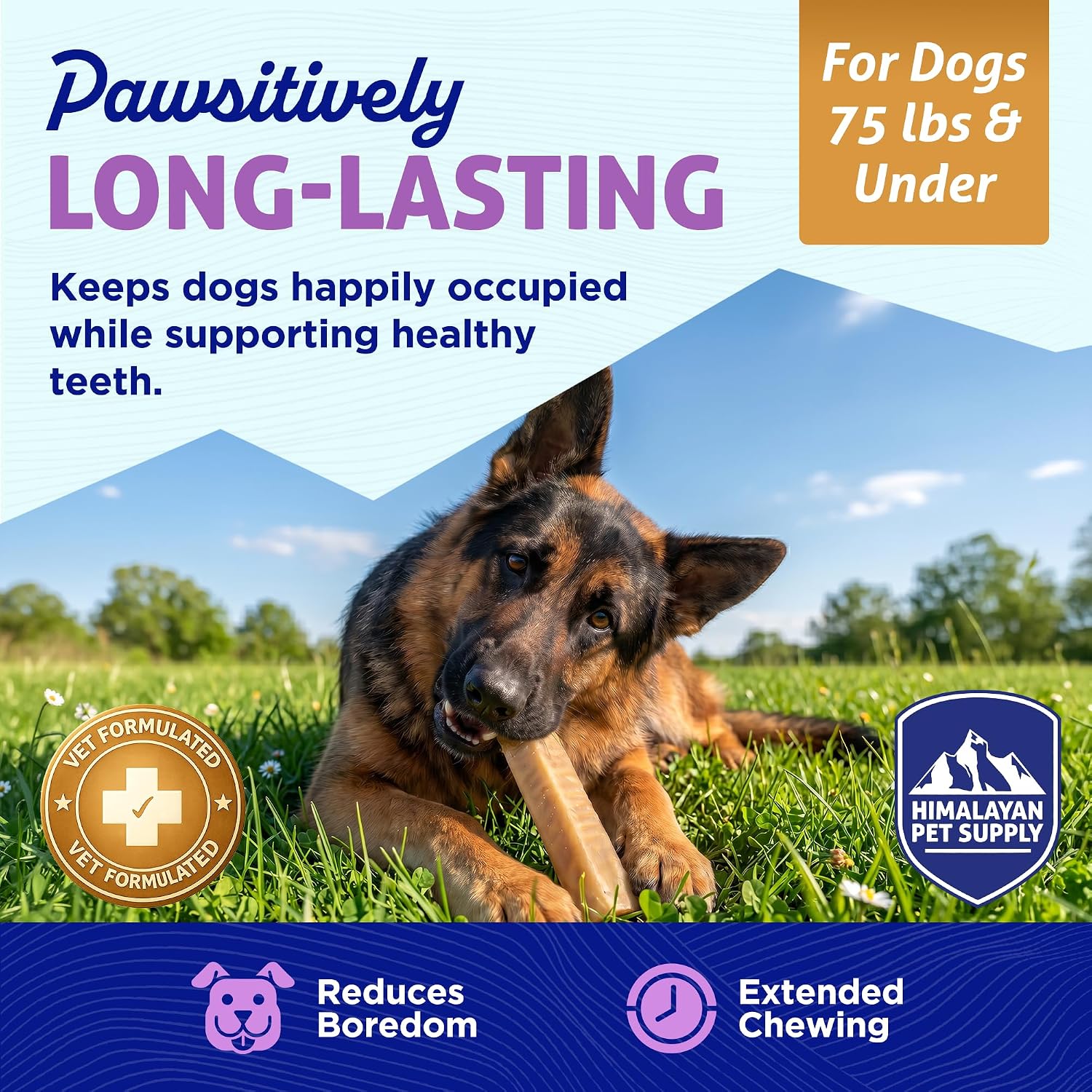 Himalayan Dog Chew, Function+ Skin & Coat, Hard Chew for Large & XL Dogs 13 Himalayan Dog Chew, Function+ Skin & Coat, Hard Chew for Large & XL Dogs
