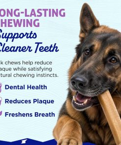 Himalayan Dog Chew, Function+ Skin & Coat, Hard Chew for Large & XL Dogs 25 Himalayan Dog Chew, Function+ Skin & Coat, Hard Chew for Large & XL Dogs