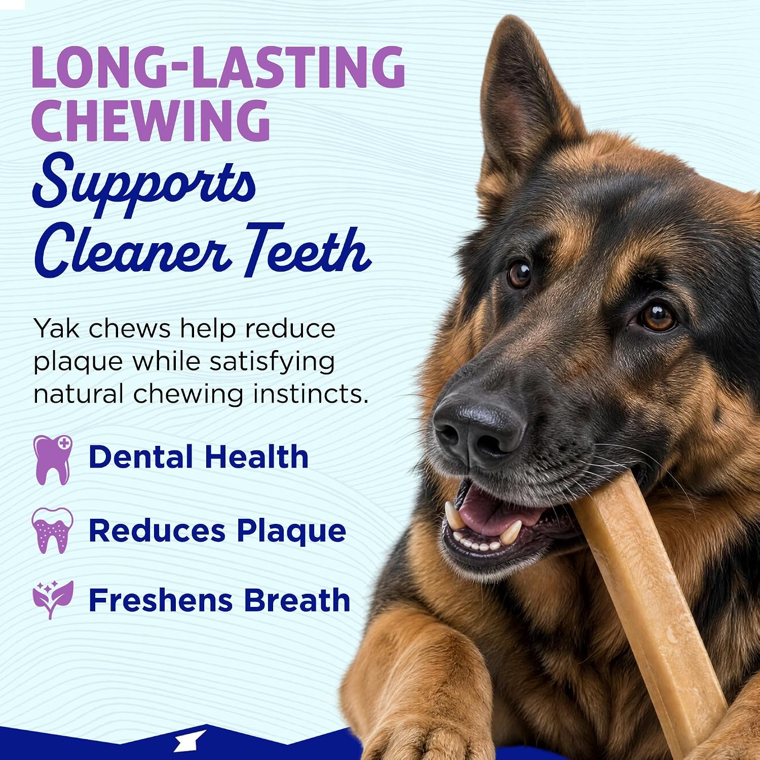 Himalayan Dog Chew, Function+ Skin & Coat, Hard Chew for Large & XL Dogs 16 Himalayan Dog Chew, Function+ Skin & Coat, Hard Chew for Large & XL Dogs