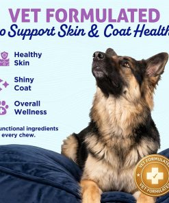 Himalayan Dog Chew, Function+ Skin & Coat, Hard Chew, Small & Medium Dogs
