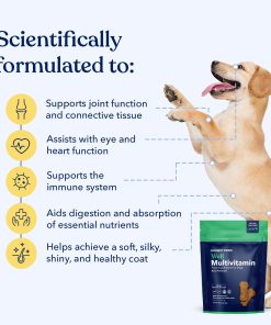 Honest Paws (90 Count) Dog Multivitamin Soft Chews with 10 Essential Vitamins - Joint, Coat, Immune, Eye & Heart Support - with Glucosamine, Chondroitin & Omega-3 - Beef Flavor...