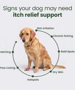 Itch Relief Chews + NutriFlo10-in-1 Dog Multivitamin | Daily Dog Vitamins & Supplements with Seasonal Allergy & Skin Support | Probiotics, Omega-3 & Borage Oil | All Breeds