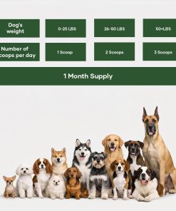 Itch Relief Chews + NutriFlo10-in-1 Dog Multivitamin | Daily Dog Vitamins & Supplements with Seasonal Allergy & Skin Support | Probiotics, Omega-3 & Borage Oil | All Breeds