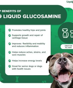 LIQUIDHEALTH Pets K9 Glucosamine Chondroitin Hip & Joint Formula & K9 Complete 8-in-1 Multivitamin for Dogs, Puppies - Pet Supplement Bundle for Joint Health, Immune Support,...