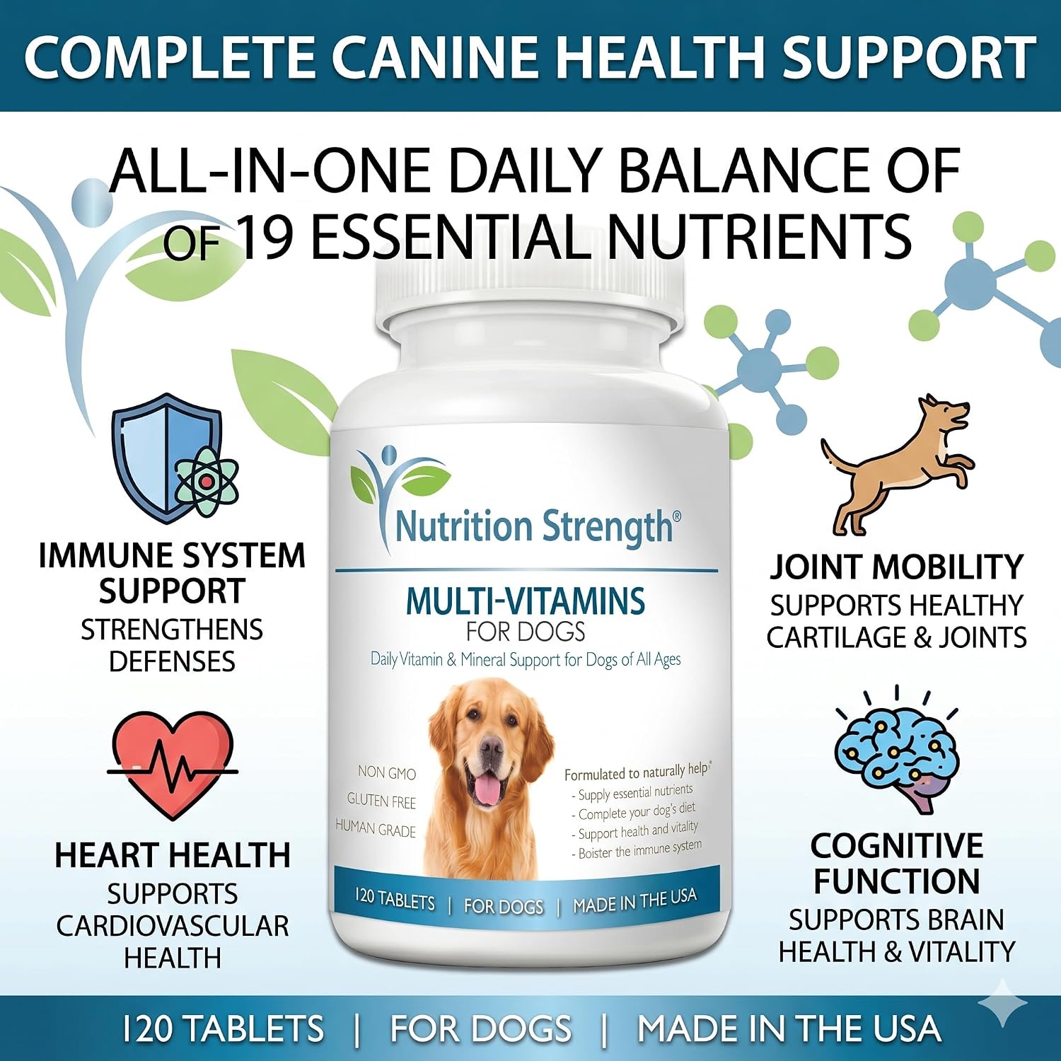 Multivitamins for Dogs Daily Vitamin & Mineral Support 12 Multivitamins for Dogs Daily Vitamin & Mineral Support