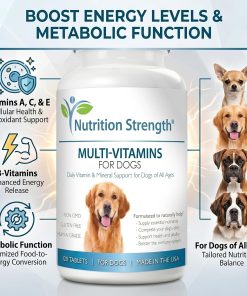 Multivitamins for Dogs Daily Vitamin & Mineral Support 24 Multivitamins for Dogs Daily Vitamin & Mineral Support