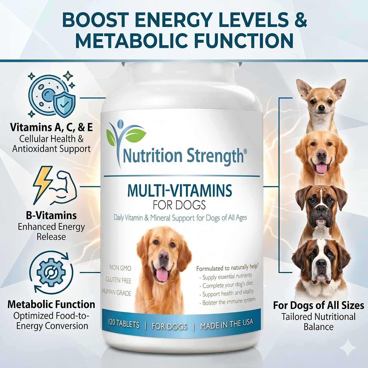 Multivitamins for Dogs Daily Vitamin & Mineral Support 16 Multivitamins for Dogs Daily Vitamin & Mineral Support