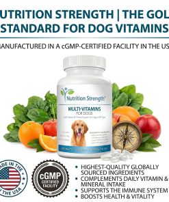 Multivitamins for Dogs Daily Vitamin & Mineral Support 26 Multivitamins for Dogs Daily Vitamin & Mineral Support