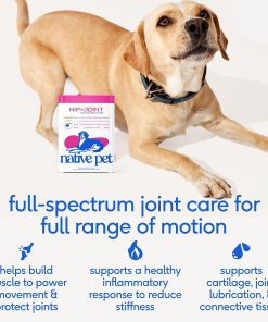 Native Pet Joint Health & Daily Wellness Pack: Hip & Joint Supplement for Dogs - Supports Joints, Cartilage, Muscles & Anti-Inflammatory & Dog Vitamins & Supplements - 11-in-1...