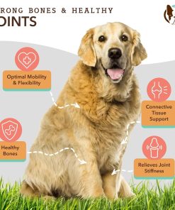Natural Dog Company Dog Supplements for Seniors & Active Dogs - Multivitamin Chews & Hip & Joint Relief - Complete Nutritional Support for Joint Health, Vitamins for Dogs,...