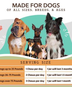 Natural Dog Company Dog Supplements for Seniors & Active Dogs - Multivitamin Chews & Hip & Joint Relief - Complete Nutritional Support for Joint Health, Vitamins for Dogs,...