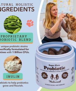 Natural Dog Company Multivitamin and Probiotic Chews Bundle: Complete Nutritional Support for Dogs, Boosts Immune System, Enhances Digestive Health, Ideal for Senior Dogs and...