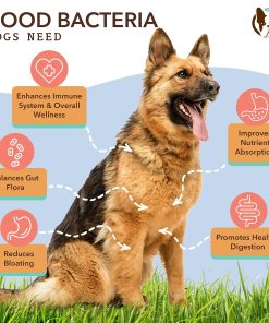 Natural Dog Company Multivitamin and Probiotic Chews Bundle: Complete Nutritional Support for Dogs, Boosts Immune System, Enhances Digestive Health, Ideal for Senior Dogs and...