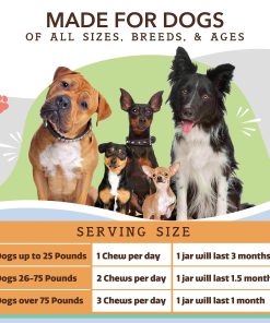 Natural Dog Company Multivitamin and Probiotic Chews Bundle: Complete Nutritional Support for Dogs, Boosts Immune System, Enhances Digestive Health, Ideal for Senior Dogs and...