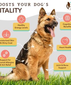 Natural Dog Company Multivitamin Chews and Ultra Omega Oil for Active Dogs - Nutrient-Rich Dog Treats with Omega-3 and Essential Vitamins, Supports Cognitive Health and Overall...