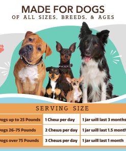 Natural Dog Company Multivitamin Chews and Ultra Omega Oil for Active Dogs - Nutrient-Rich Dog Treats with Omega-3 and Essential Vitamins, Supports Cognitive Health and Overall...
