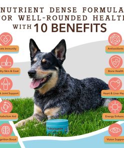Natural Dog Company Multivitamin Supplement Chews + Skin & Coat Supplement Chews for Dogs - Comprehensive Nutritional Care for Healthy Skin, Shiny Coat, Joint Support, and...