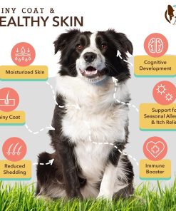 Natural Dog Company Multivitamin Supplement Chews + Skin & Coat Supplement Chews for Dogs - Comprehensive Nutritional Care for Healthy Skin, Shiny Coat, Joint Support, and...
