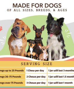 Natural Dog Company Multivitamin Supplement Chews + Skin & Coat Supplement Chews for Dogs - Comprehensive Nutritional Care for Healthy Skin, Shiny Coat, Joint Support, and...