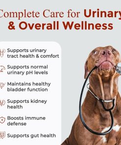 NATURE TARGET Dog Vitamins Powder, Cranberry Supplement for Dogs