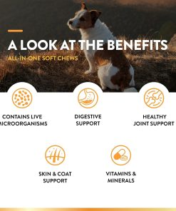 NaturVet All-in-One Dog Supplement - for Joint Support, Digestion, Skin, Coat Care – 120 Soft Chews & No Scoot for Dogs - 120 Soft Chews - Supports Healthy Anal Gland & Bowel...