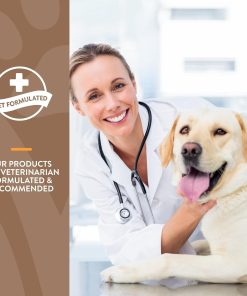NaturVet All-in-One Dog Supplement - for Joint Support, Digestion, Skin, Coat Care – 120 Soft Chews & No Scoot for Dogs - 120 Soft Chews - Supports Healthy Anal Gland & Bowel...