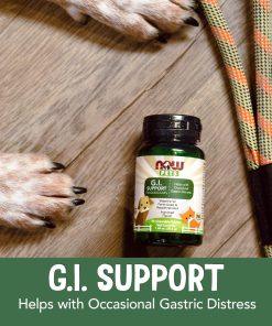 NOW Pet Health, G.I. Support Supplement, Cats & Dogs, 90 Chewable Tablets
