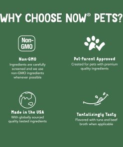 NOW Pet Health, G.I. Support Supplement, Cats & Dogs, 90 Chewable Tablets