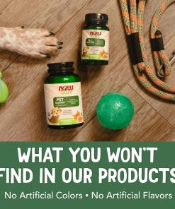 NOW Pet Health, G.I. Support Supplement, Cats & Dogs, 90 Chewable Tablets